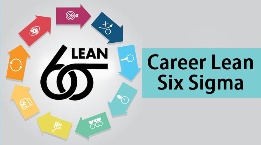 Lean Six Sigma Professional